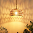 IHENGYANLT Plug in Pendant Light 10.2
