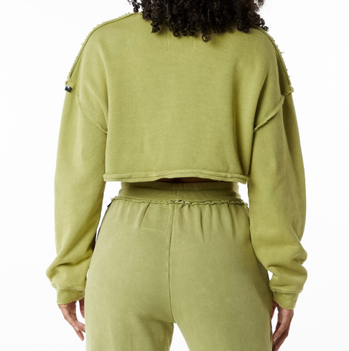NEW Alphalete Heavyweight Washed Terry Crop Pullover Jade Green SIZE L /RG31/121