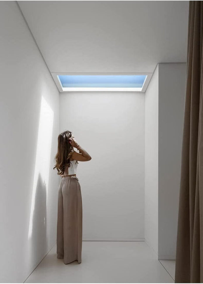 NEW /OPEN BOX Empowline Smart Blue Sky Light Ceiling Lamp, Clear Sky Light (1x2FT)