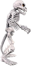Premium DNA Toys BATTLETOADS Anthology Collection Wave 1 - Rat Bones, White