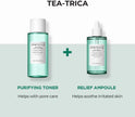 Skin1004 Madagascar Centella Tea-Trica Relief Ampoule 100ml