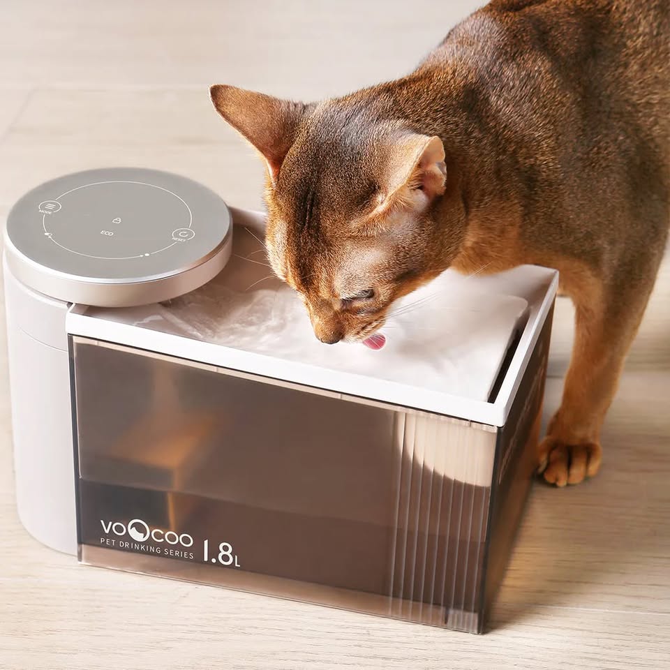 Voocoo Automatic Sterilizing Flow Pet Water Fountain 1.8L
