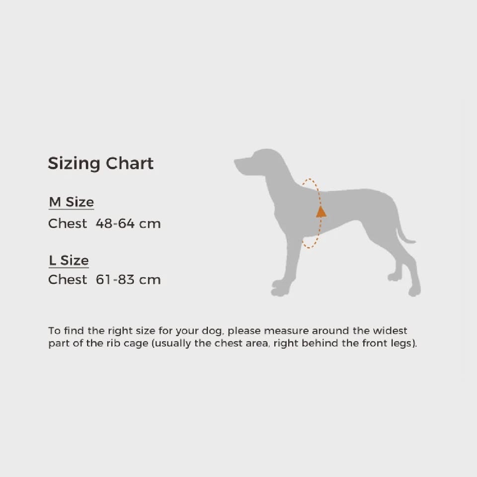 VOOCOO Saddle Pet Harness Leash Set Comfort For Dog Lightweight Reflective Oat L