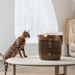 VOOCOO Amber Vacuum Seal Storage Food Container For Cats and Dogs