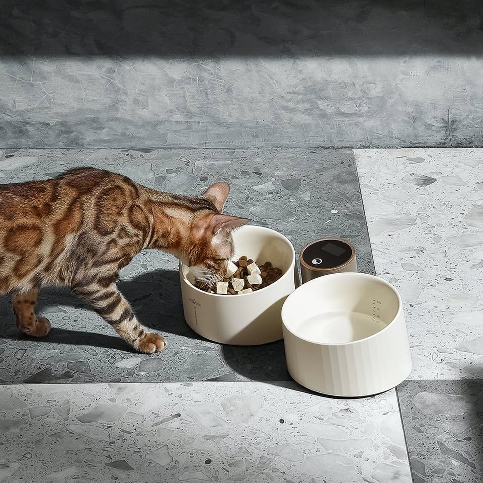 VOOCOO Smart Raised Dog Cat Food Bowl with Integrated Scale