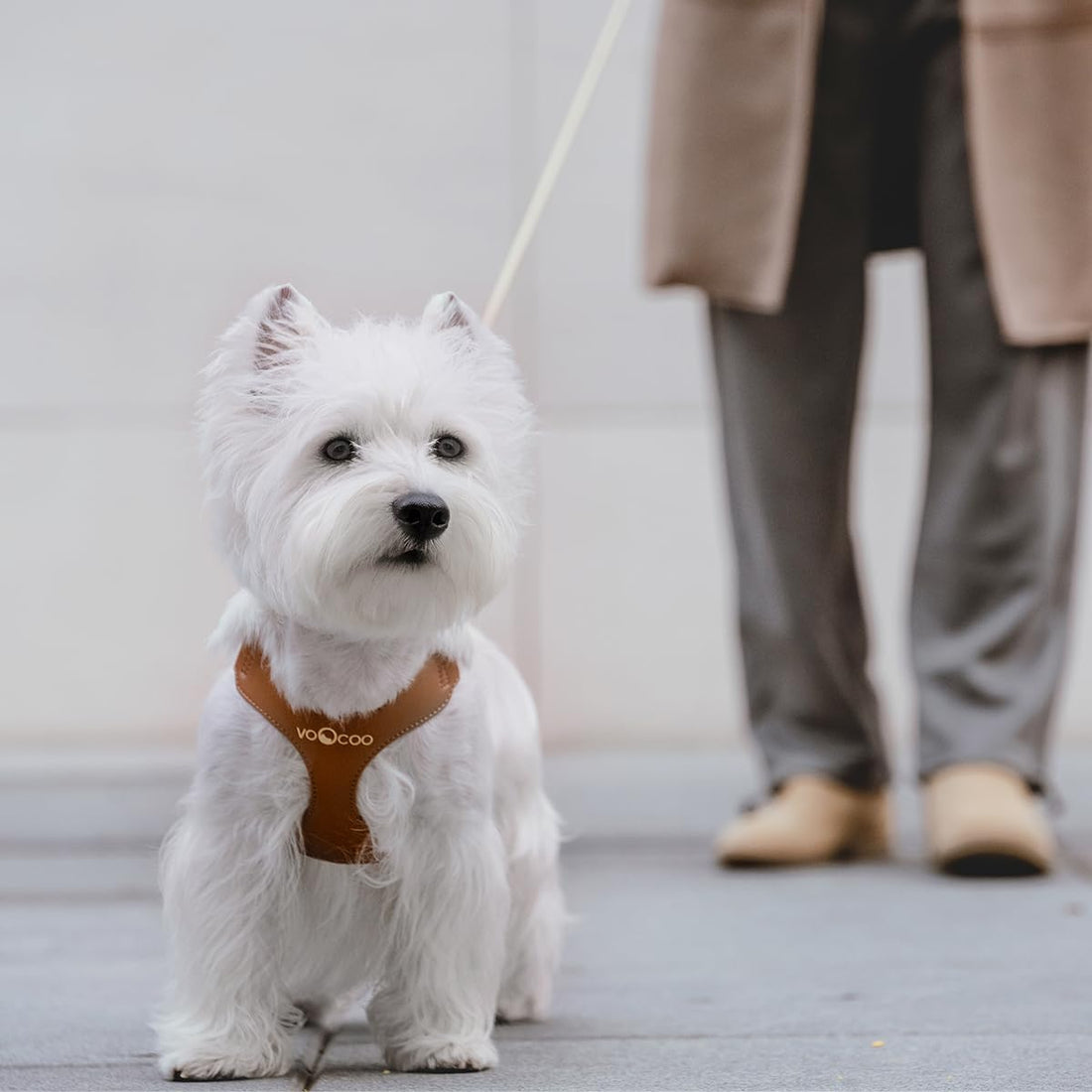 VOOCOO #OOTD Pet Harness and Leash Set ,Metal Handle, Size  Small, Latte