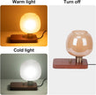 Bedside Lamp with Charging Station, Small Night Light with USB Port, Brown Wooden Pallet Glass