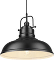 Zeyu Modern Hanging Light Fixture, 17.7 inch ,1-Light Adjustable Hanging Light, Matte Black Finish, 016-1M BK
