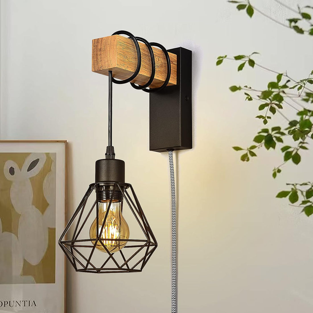 Plug in Wire Wood Cage Wall Lamp Industrial Rustic Lift Pipe