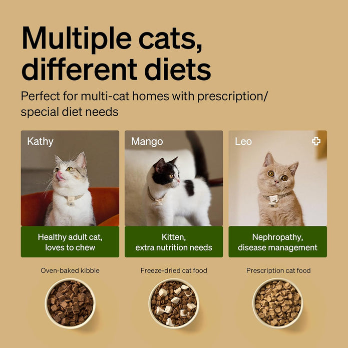 NEW/OPEN BOX PETLIBRO RFID Automatic Cat Feeder with Collar Tag Sensor PLAF301