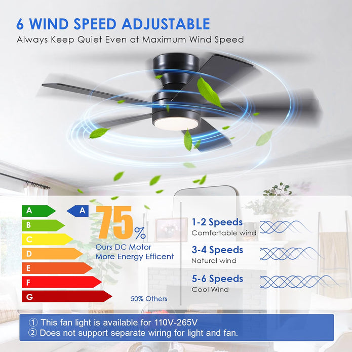 Demo/Open box BYKISTOK Black Ceiling Fans with Lights - 46