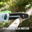 USED Greenworks 20192 8.5-Inch 6.5 Amp Electric Corded Pole Saw, Green
