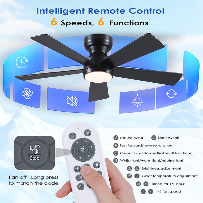 Demo/Open box BYKISTOK Black Ceiling Fans with Lights - 46