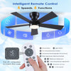 Demo/Open box BYKISTOK Black Ceiling Fans with Lights - 46