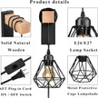 Plug in Wire Wood Cage Wall Lamp Industrial Rustic Lift Pipe