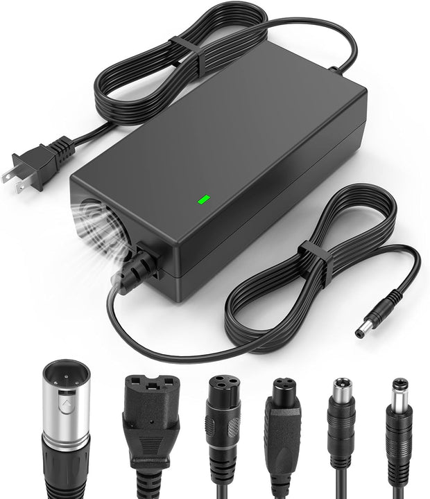 Li-ion Battery Charger  54.6V 2A Electric Charger for 48V  Lithium Battery