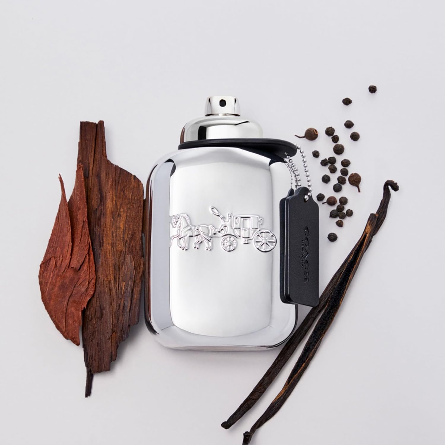 Coach Platinum by Coach Eau De Parfum Spray 3.3 oz / 100ml for Men