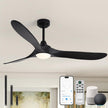 New Ombrin 52 inch Outdoor Ceiling Fans with Lights,Smart Wood Ceiling Fan -Black