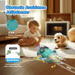 Dancing Jellydancer Baby Music Crawling Walking Toys