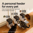 NEW/OPEN BOX PETLIBRO RFID Automatic Cat Feeder with Collar Tag Sensor PLAF301