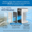 Medify MA-25 Air Purifier with True HEPA H13 Filter