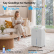 KNKA 2500 Ft² Max 34 Pints Dehumidifier for Basement with Drain Hose, White-PD22SC-12