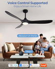 New Ombrin 52 inch Outdoor Ceiling Fans with Lights,Smart Wood Ceiling Fan -Black