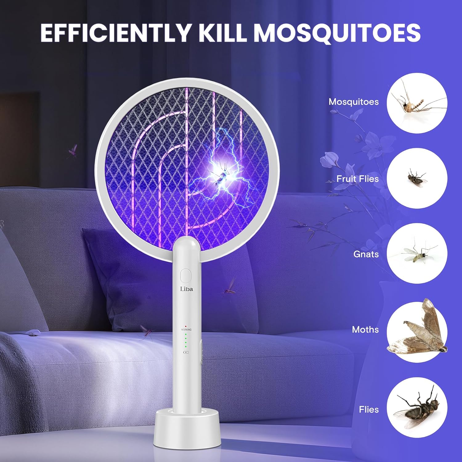 LiBa Electric Fly Swatter, 4000V 2-in-1 Mosquito Killer Lamp, USB Rechargeable with 5-Layer