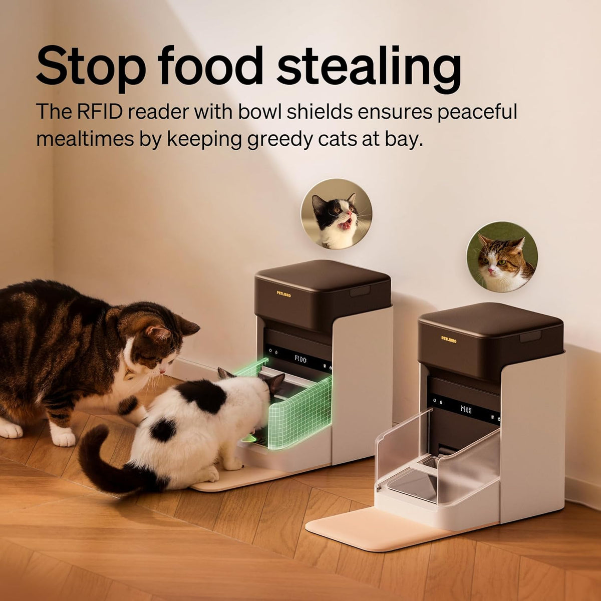 NEW/OPEN BOX PETLIBRO RFID Automatic Cat Feeder with Collar Tag Sensor PLAF301