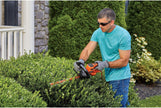 BLACK+DECKER Electric Hedge Trimmer, 16-Inch (BEHT100)