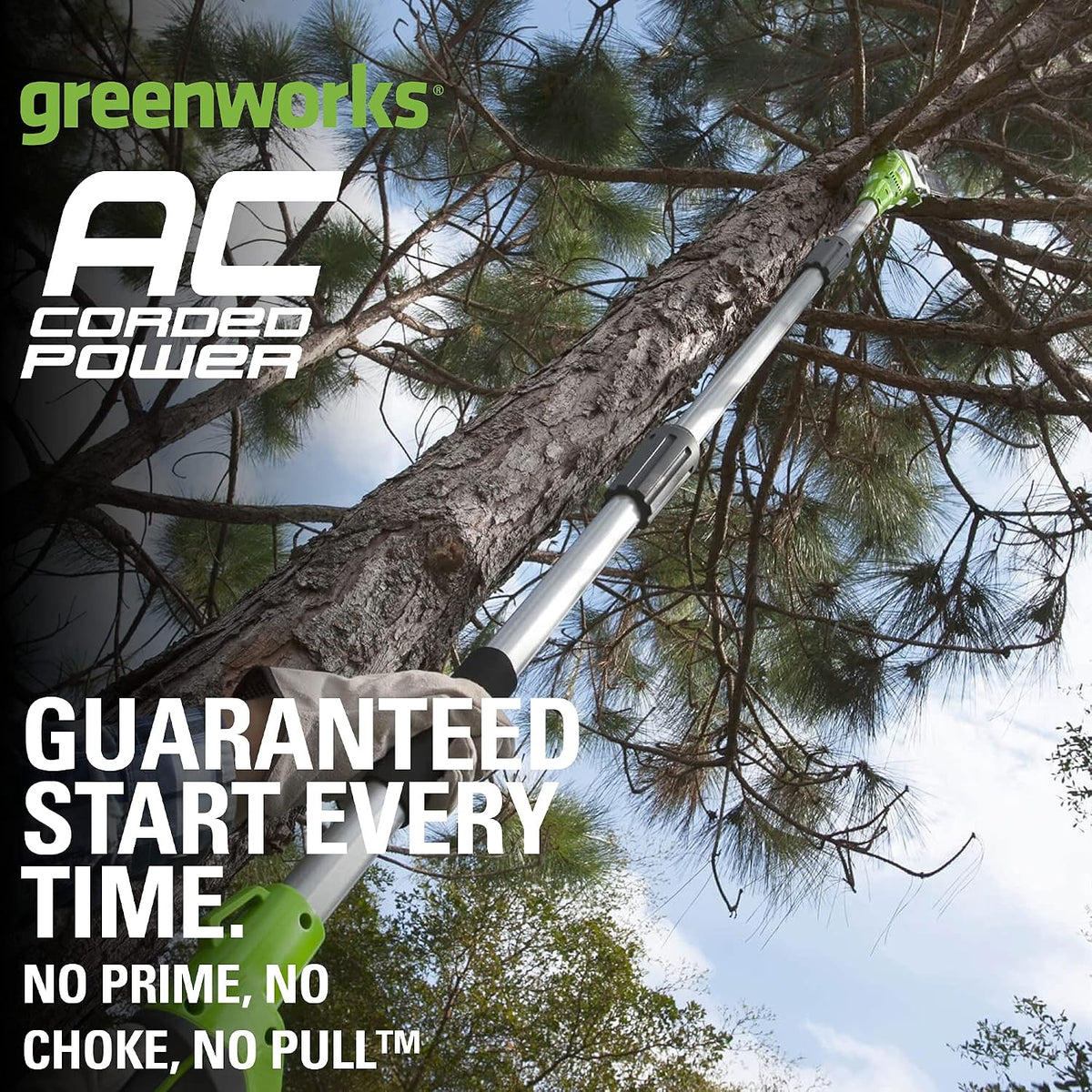 USED Greenworks 20192 8.5-Inch 6.5 Amp Electric Corded Pole Saw, Green
