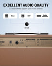 Donner DKA-20 Keyboard Amplifier 20 Watt Keyboard AMP with Aux in and Two Channels, Bass Guitar Amp, Piano Amplifier, Electronic Drum Speaker Support for Microphone Input