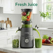 Canoly C03 Cold Press Juicer, 4.5