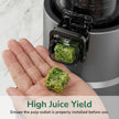 Canoly C03 Cold Press Juicer, 4.5
