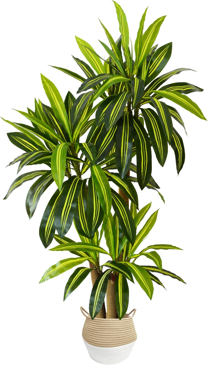 Warmplants Artificial Dracaena Tree 6ft Tall Fake Plant with Woven Basket