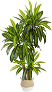 Warmplants Artificial Dracaena Tree 6ft Tall Fake Plant with Woven Basket
