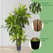 Warmplants Artificial Dracaena Tree 6ft Tall Fake Plant with Woven Basket