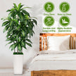 Artificial Dracaena Tree Indoor, 6FT Tall Fake Tree with White Tall Planter