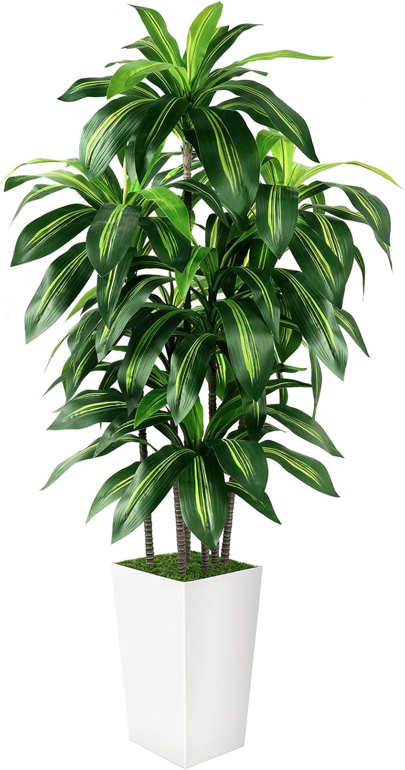 Artificial Dracaena Tree Indoor, 6FT Tall Fake Tree with White Tall Planter