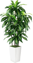 Artificial Dracaena Tree Indoor, 6FT Tall Fake Tree with White Tall Planter