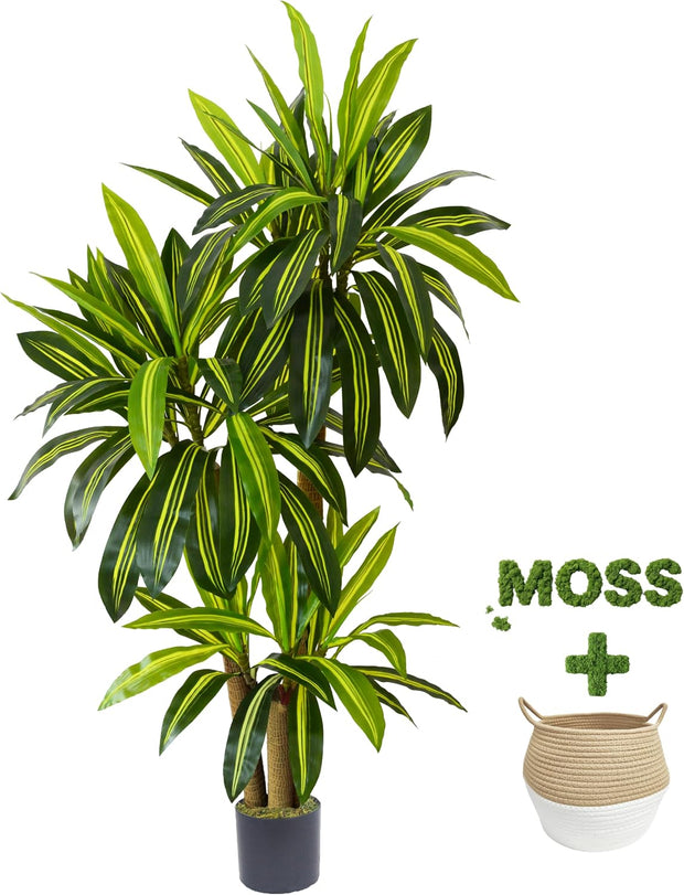Warmplants Artificial Dracaena Tree 6ft Tall Fake Plant with Woven Basket