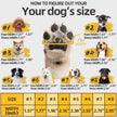 Dog Shoes for Small Dogs, Waterproof Dog Booties Paw Protector for Winter Snowy Day, Summer Hot Pavement, Outdoor Walking, Indoor Hardfloors Anti Slip Sole Black Size 3