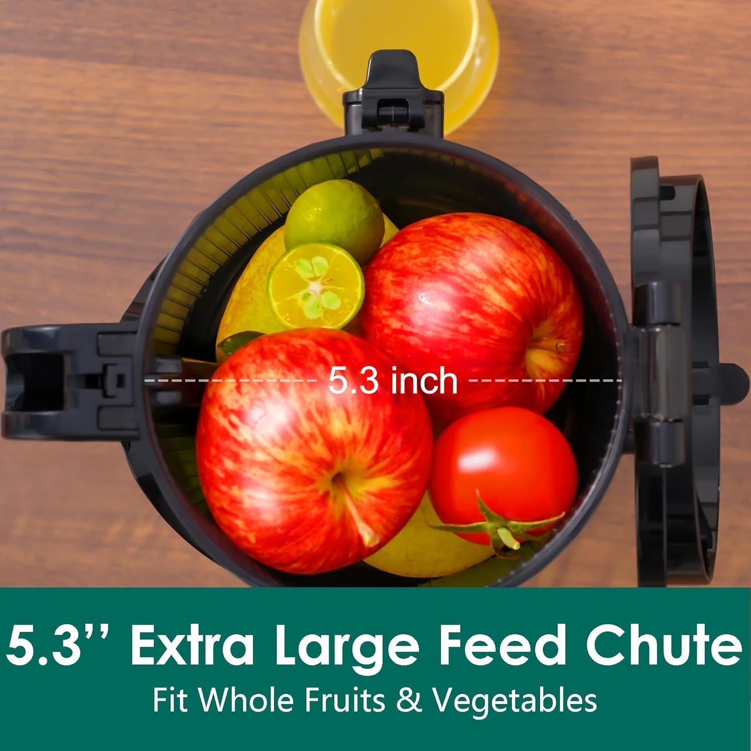 NEW IN OPEN BOX Fretta Cold Press Juicer Machines,Slow Masticating Juicer with 5.3