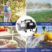 USED / LIKE NEW/ Lanchez 1 Hp Shallow Well Pumpgarden Pump, Portable Stainless Steel Water Transfer Draining Irrigation Jet Pump for Water Removal, Lawn Fountain Pump 1294 GPH 147 Feet Height