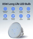 Skytex Softbox Lighting Kit 2Pack 20x28in Soft Box | 85W 2700-6400K E27 LED Bulb Continuous Photography Lighting