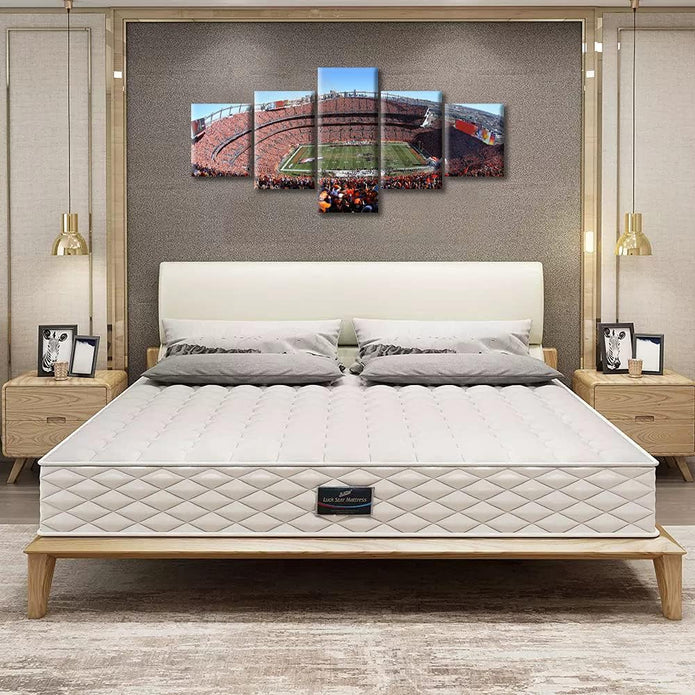 5 Panel Denver Canvas Wall Art American Soccer Prints Sports Artwork Wall Decor Home Picture for Bedroom Living Room Broncos Stadium Paintings Posters Framed Ready to Hang, 50