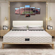 5 Panel Denver Canvas Wall Art American Soccer Prints Sports Artwork Wall Decor Home Picture for Bedroom Living Room Broncos Stadium Paintings Posters Framed Ready to Hang, 50