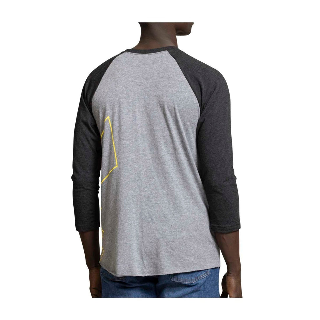 Pokémon Celebration Gray Raglan Shirt - Adult