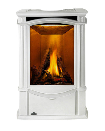 Napoleon Castlemore Direct Vent Gas Stove