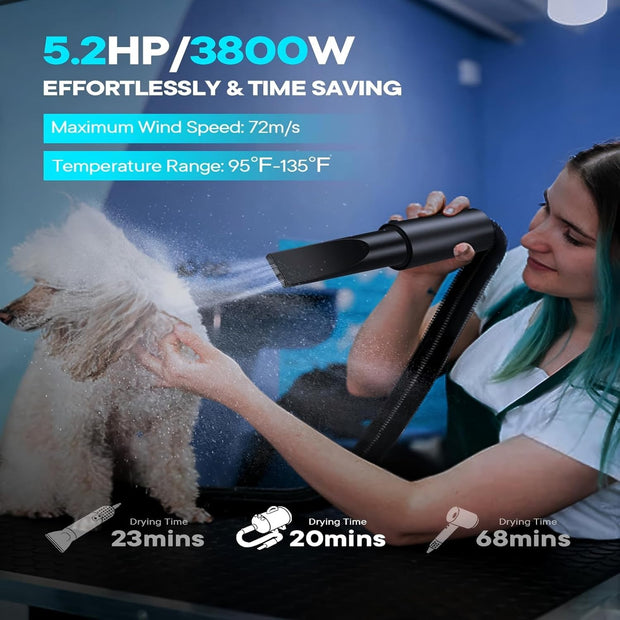 EGFKI Dog Dryer, 5.2HP/ 3800W Pet Grooming High Velocity Force Blower with 4 Nozzles, Adjustable Speed and Temperature Dog Hair Dryers for Grooming
